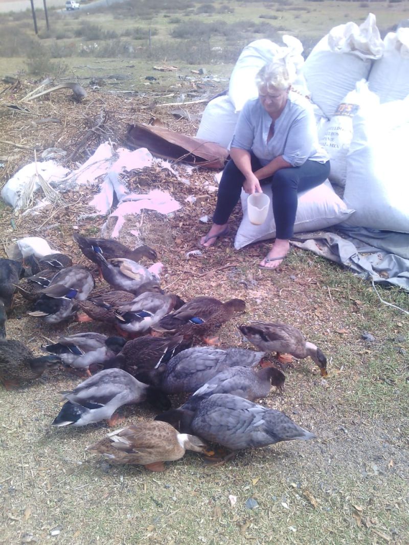 Lientjie_034 Lientjie_034